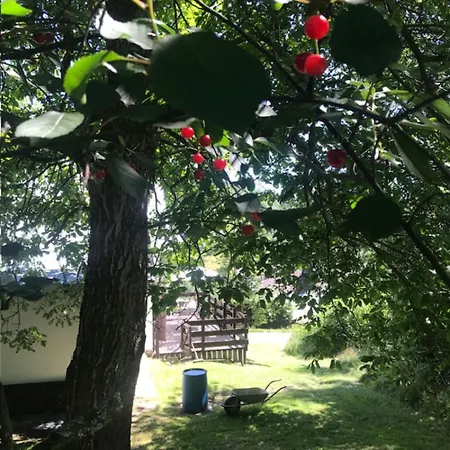 Nisou * Zlata Olesnice (Jablonec nad Nisou)